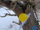 IMG-20240121-WA0000